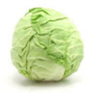 Meet your Posher, Dalilah